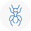 Ant Removals In Anston