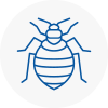 Bed Bug Extermination In Anston