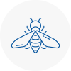 Bee Nest Removal Anston