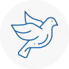 Bird Prevention Anston