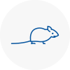 Mice Exterminators In Anston