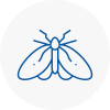 Moth Control Specialists In Anston