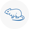 Rat Control Anston