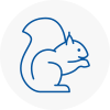 Anston Rodent Removals